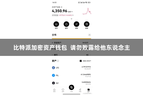 比特派加密资产钱包 请勿败露给他东说念主