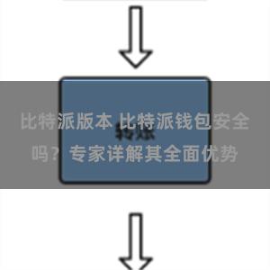 比特派版本 比特派钱包安全吗？专家详解其全面优势