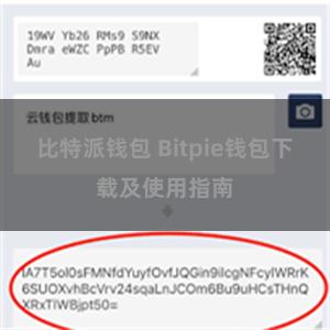 比特派钱包 Bitpie钱包下载及使用指南