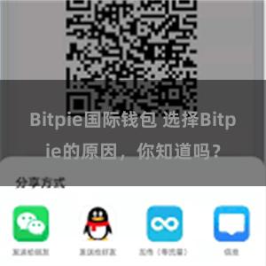 Bitpie国际钱包 选择Bitpie的原因，你知道吗？