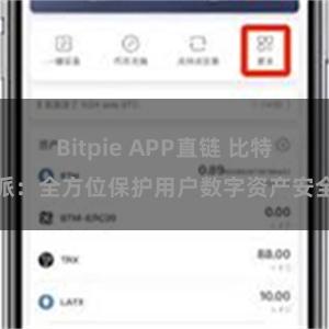 Bitpie APP直链 比特派：全方位保护用户数字资产安全