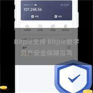 Bitpie支持 Bitpie数字资产安全保障指南