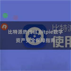 比特派热钱包 Bitpie数字资产安全保障指南