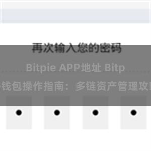 Bitpie APP地址 Bitpie钱包操作指南：多链资产管理攻略