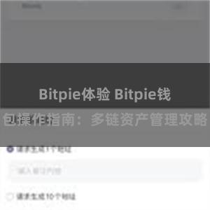 Bitpie体验 Bitpie钱包操作指南：多链资产管理攻略