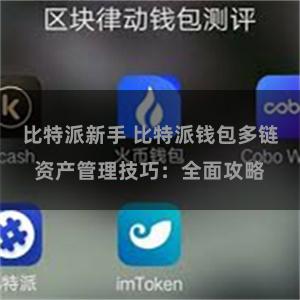 比特派新手 比特派钱包多链资产管理技巧：全面攻略