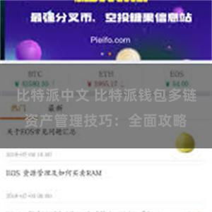 比特派中文 比特派钱包多链资产管理技巧：全面攻略