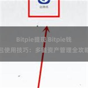 Bitpie提现 Bitpie钱包使用技巧：多链资产管理全攻略