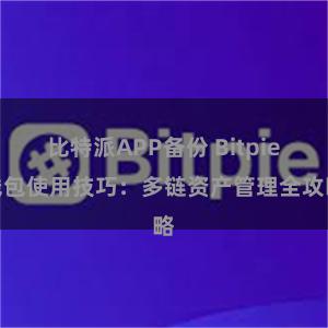 比特派APP备份 Bitpie钱包使用技巧：多链资产管理全攻略