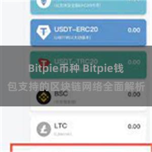 Bitpie币种 Bitpie钱包支持的区块链网络全面解析