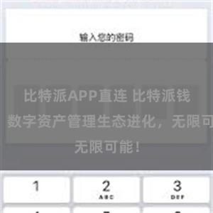 比特派APP直连 比特派钱包：数字资产管理生态进化，无限可能！