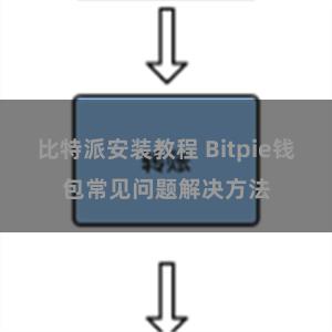 比特派安装教程 Bitpie钱包常见问题解决方法