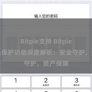 Bitpie支持 Bitpie钱包隐私保护功能深度解析：安全守护，资产保障