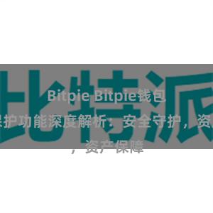 Bitpie Bitpie钱包隐私保护功能深度解析：安全守护，资产保障