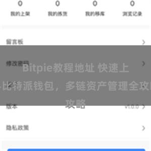 Bitpie教程地址 快速上手比特派钱包，多链资产管理全攻略