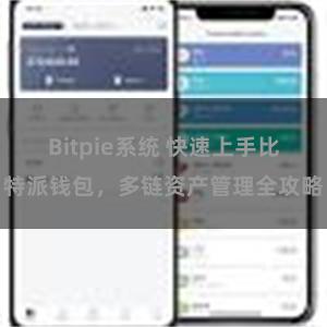 Bitpie系统 快速上手比特派钱包，多链资产管理全攻略