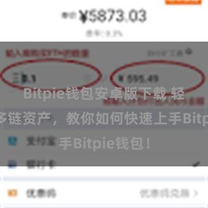 Bitpie钱包安卓版下载 轻松管理多链资产，教你如何快速上手Bitpie钱包！