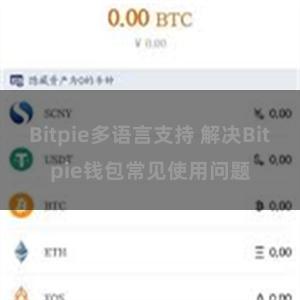 Bitpie多语言支持 解决Bitpie钱包常见使用问题