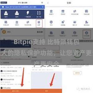 Bitpie支持 比特派钱包：强大的隐私保护功能，让您资产更安全