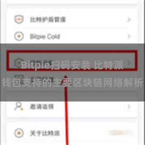 Bitpie扫码安装 比特派钱包支持的主要区块链网络解析