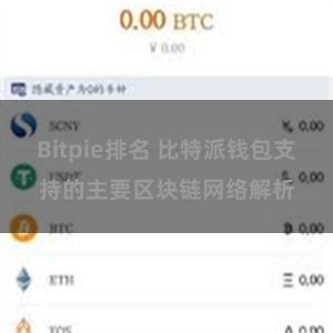 Bitpie排名 比特派钱包支持的主要区块链网络解析