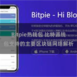 Bitpie热钱包 比特派钱包支持的主要区块链网络解析