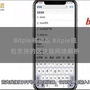 Bitpie移动版 Bitpie钱包支持的区块链网络解析