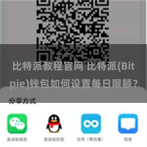 比特派教程官网 比特派(Bitpie)钱包如何设置每日限额？