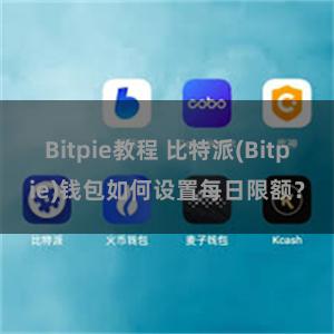 Bitpie教程 比特派(Bitpie)钱包如何设置每日限额？