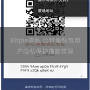 Bitpie隐私 比特派钱包用户隐私保护措施详解