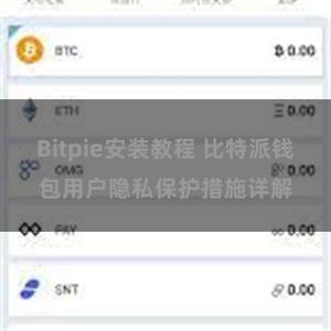 Bitpie安装教程 比特派钱包用户隐私保护措施详解