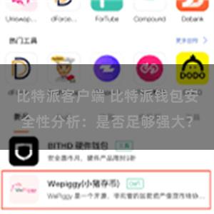 比特派客户端 比特派钱包安全性分析：是否足够强大？