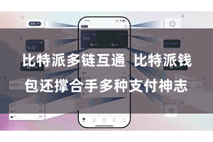 比特派多链互通  比特派钱包还撑合手多种支付神志