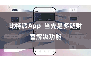 比特派App  当先是多链财富解决功能