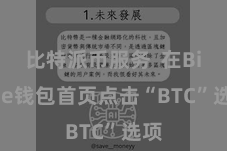 比特派币服务  在Bitpie钱包首页点击“BTC”选项