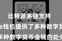 比特派多链支持  Bitpie钱包提供了多种数字货币金钱的处分功能
