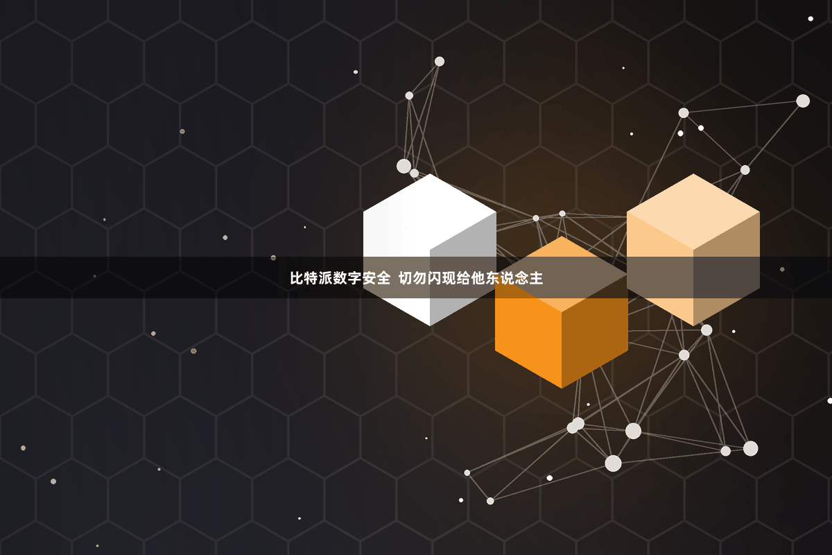 比特派数字安全 切勿闪现给他东说念主