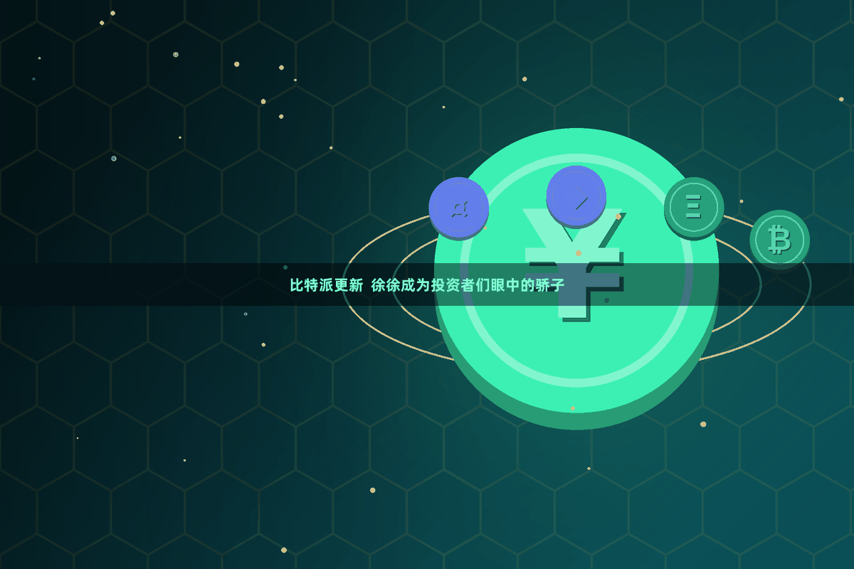 比特派更新  徐徐成为投资者们眼中的骄子
